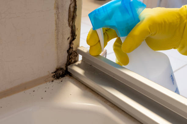 Best Mold Testing and Inspection Services in Keshore, LA