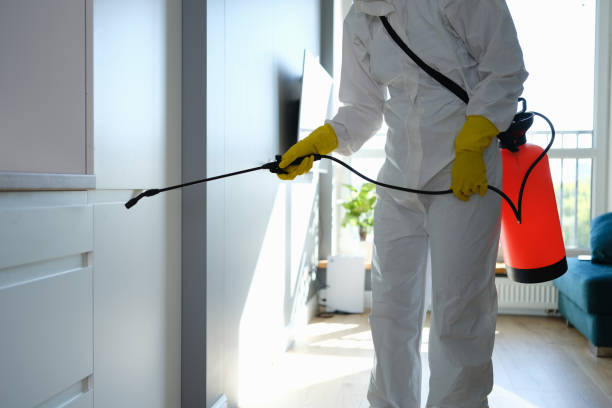 Professional Mold Remediation in Lakeshore, LA